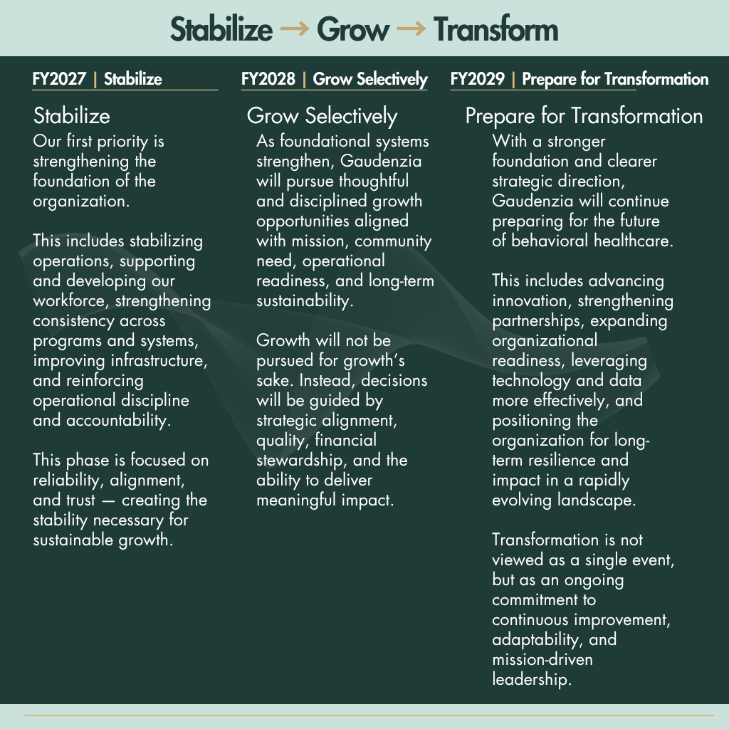 Strategic Plan Chart - Stabilize, Grow, Transform chart
